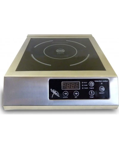 Плита індукційна GoodFood IC30