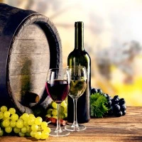 Холодильник винний 400 літрів - з 1 скляними дверима GGM Gastro