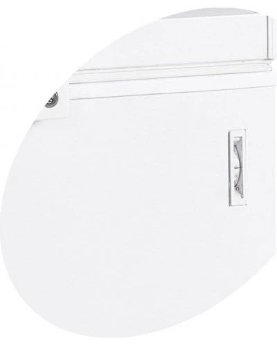 Скриня морозильна FR305 SL (Tefcold)