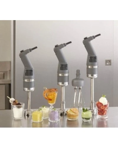 Міксер погружний Robot Coupe Mini MP240 Combi