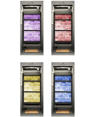 Шафа для дозрівання м'яса DRY AGER DX1001/DX0060, з підсвічуванням (Німеччина)