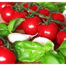 Овочерізка для томатів (ручне управління) GGM Gastro