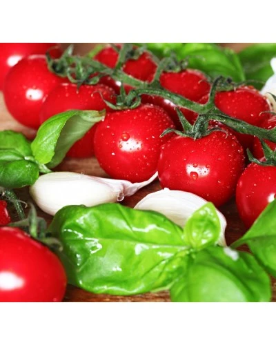 Овочерізка для томатів (ручне управління) GGM Gastro