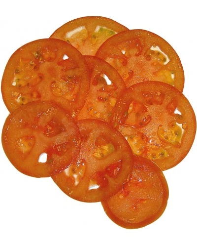 Диск-слайсер FCС-5+ · 5 mm (Sammic)