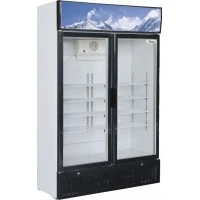 Шафа холодильна Forcar G-SNACK638L2TNG