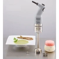 Міксер погружний Robot Coupe MICROMIX