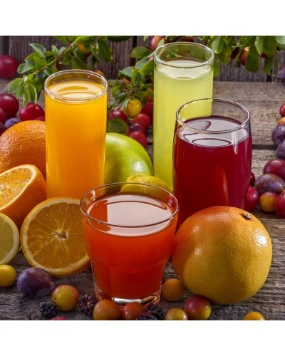 Прес для фруктів електричний GGM Gastro