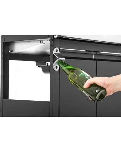 Газовий садовий гриль Lehmann Texas 2 кВт 33,5 см x 53 см