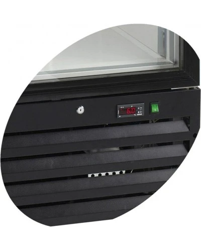 Шафа морозильна NF2500G RAL7024 (Tefcold)