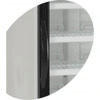 Шафа морозильна NF2500G RAL7024 (Tefcold)