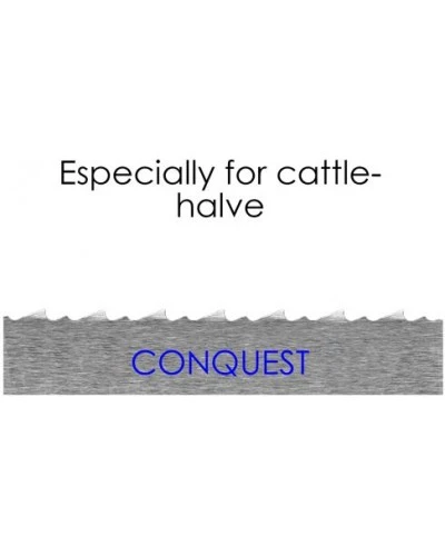 Полотно стрічкової пили Conquest - 1,65 м - зуби 10 мм (5 шт. в упаковці) GGM Gastro