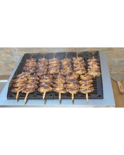ГРИЛЬ БАРБЕКЮ ЕЛЕКТРИЧНИЙ BBQ02 (R54) REMTA