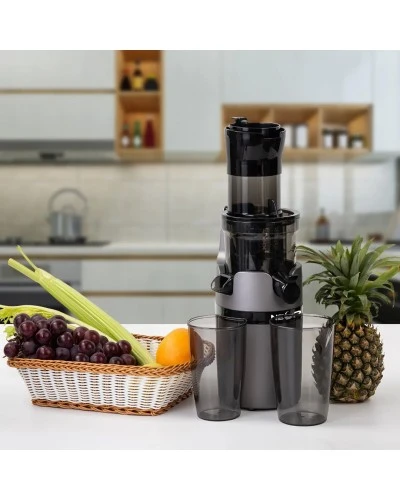 Соковитискач шнековий універсальний NEOR JUICER B200 GR