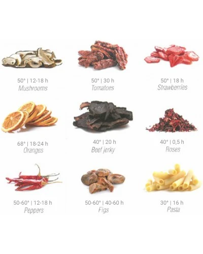 Дегидратор, на 6 лотків для суші GGM Gastro